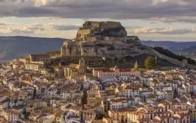 Morella
